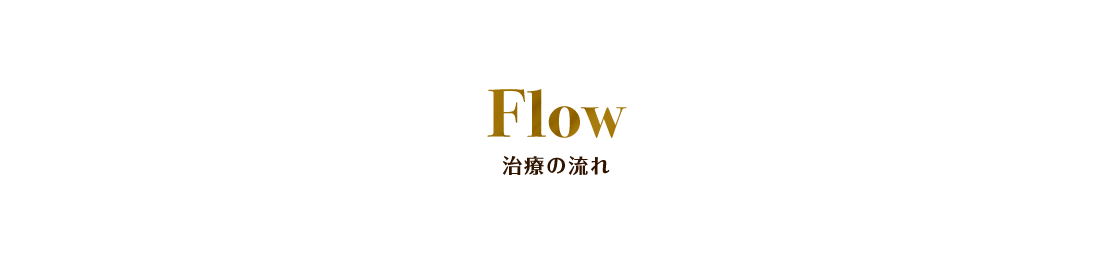 Flow 治療の流れ